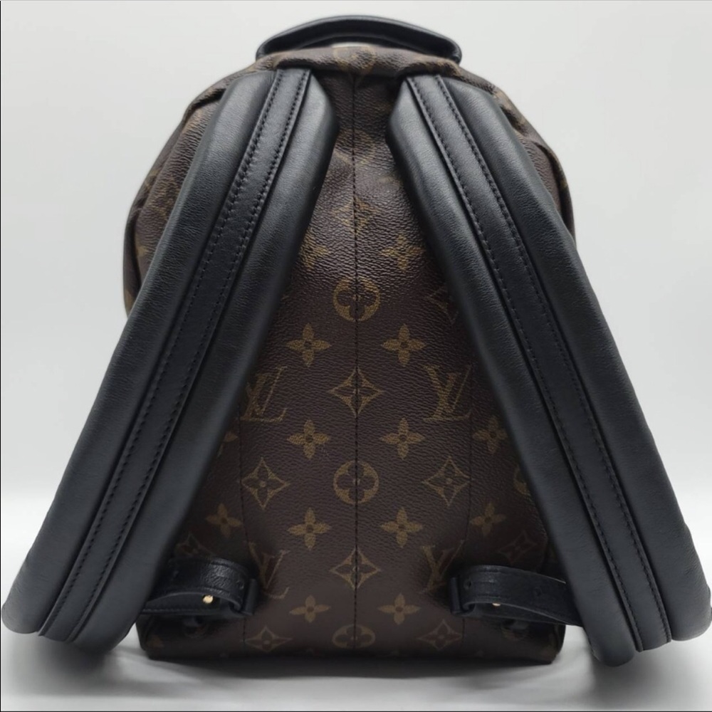 Louis Vuitton Palm Springs Backpack